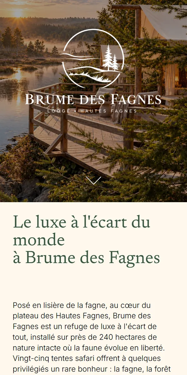 Brume des Fagnes sur téléphone
